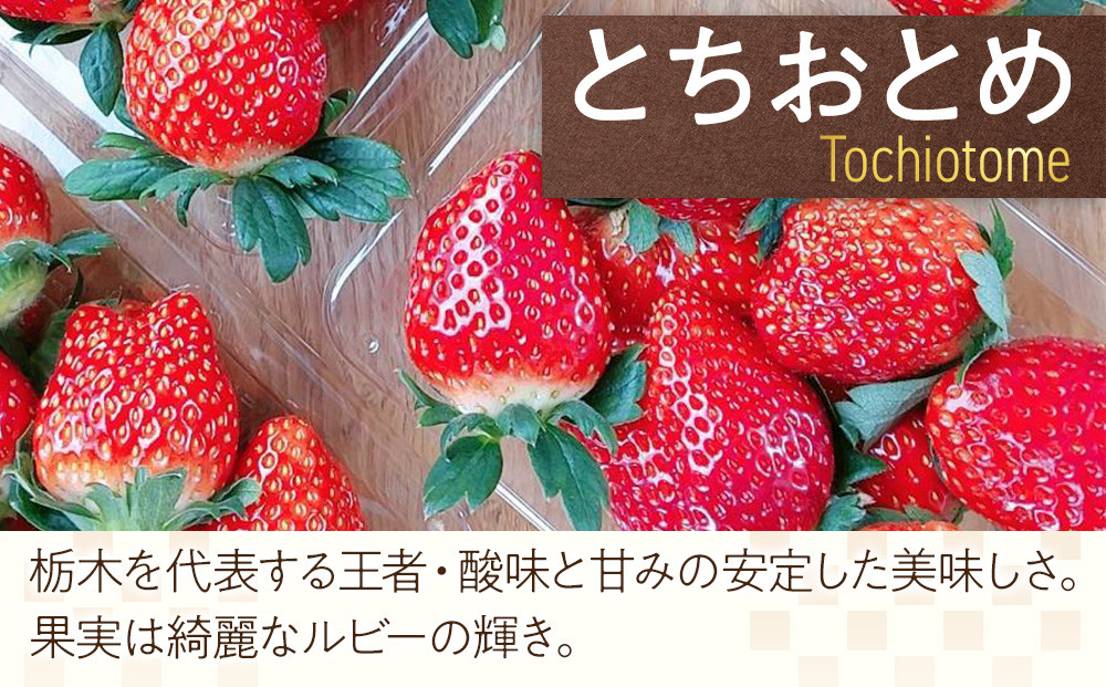 ひみつ（日光）の宝石箱 4種類の苺の食べ比べ セット 【2026年1月初旬より順次発送】 ｜フルーツ いちご 苺 期間限定 とちおとめ スカイベリー とちあいか ミルキーベリー 栃木 産地直送 産直