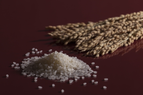 【2025年産米】鬼怒川金谷ホテルの滋養米 コシヒカリ 3kg×2袋 | 日光ブランド 厳選 米 ごはん 無農薬 無化学肥料栽培 自然農法