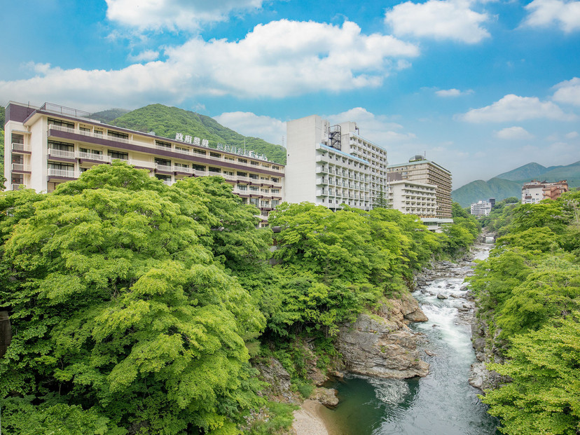 鬼怒川温泉ホテル ペア宿泊券【和洋室】【夕食：個室でご用意（和会席）／朝食：ブッフェ】
