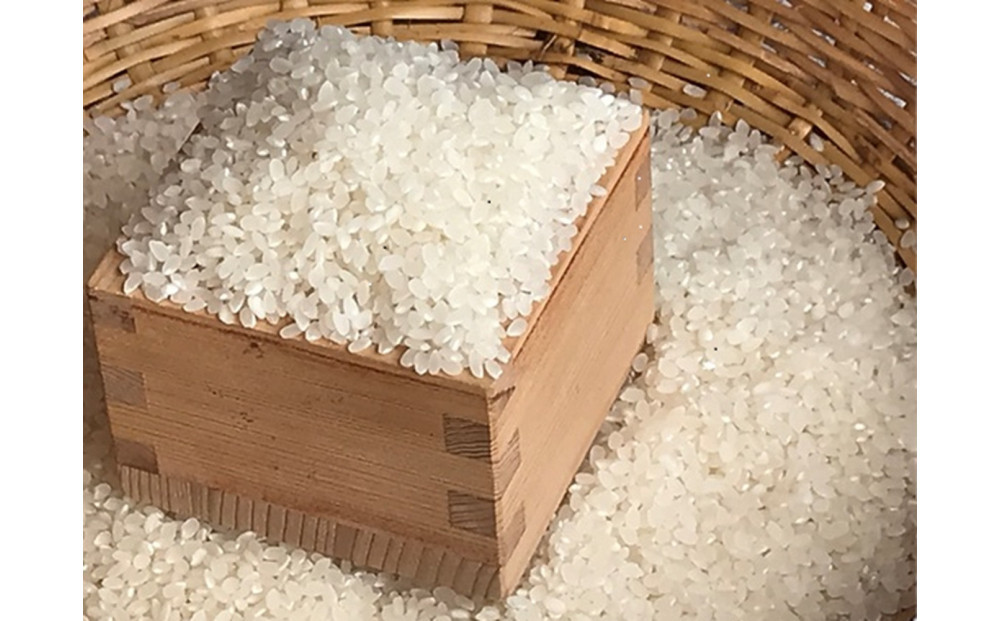 令和7年産 ゆうだい21 白米 10kg（5kg×2袋） ｜米 お米 数量限定