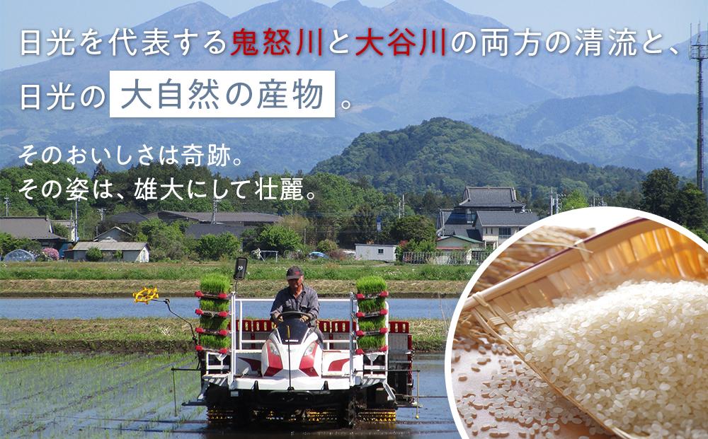 令和7年産 特別栽培米 ゆうだい21　5Kg | お米 減農薬 無化学肥料栽培 栃木県 日光市