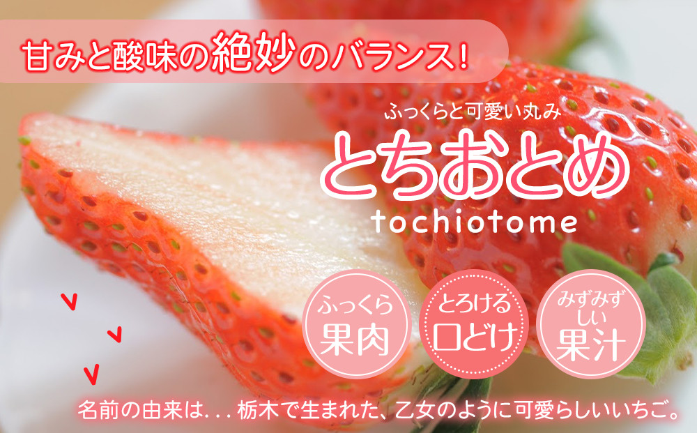 【先行予約】大粒とちあいか2パック＋大粒とちおとめ2パック=（合計）4パック入り【2026年1月上旬より順次発送】 | 生産量 日本一 果物 フルーツ 苺 イチゴ 農家直送 栃木県 日光市