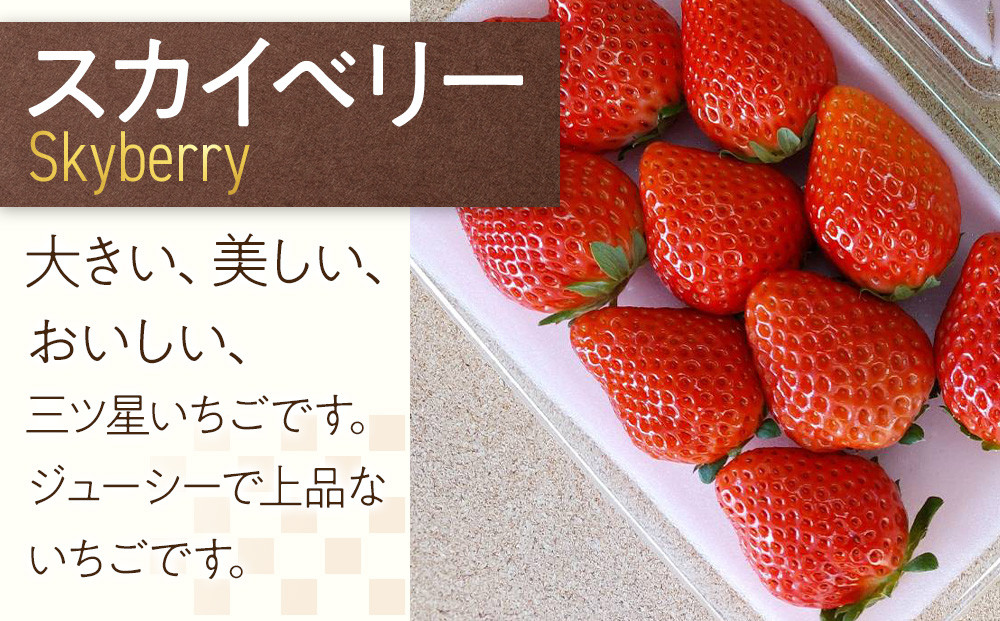 ひみつ（日光）の宝石箱 4種類の苺の食べ比べ セット 【2026年1月初旬より順次発送】 ｜フルーツ いちご 苺 期間限定 とちおとめ スカイベリー とちあいか ミルキーベリー 栃木 産地直送 産直