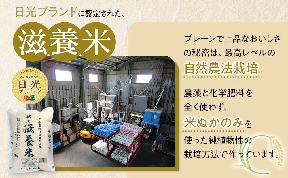 令和7年産 日光米 食べくらべ 自然農法 滋養米 2Kg & 特別栽培米 ゆうだい21  2Kg