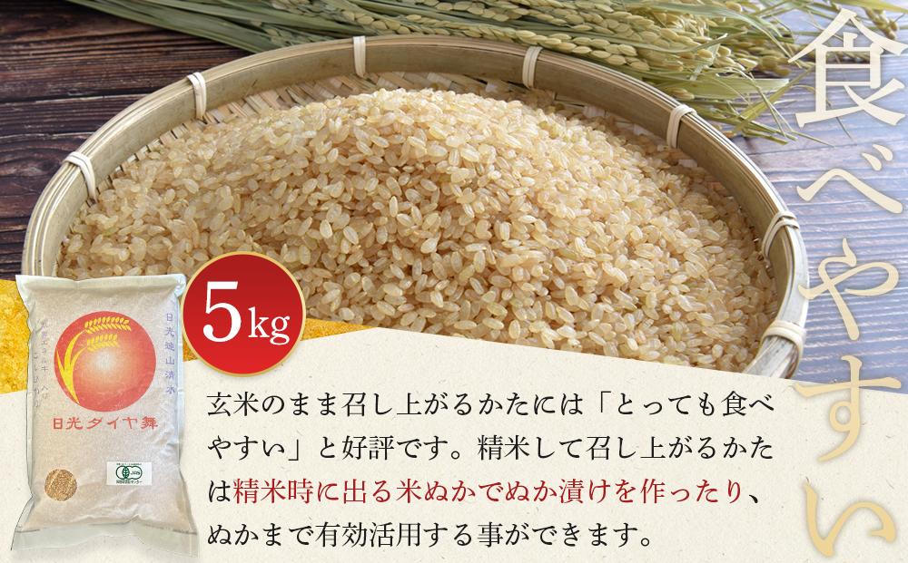 【先行予約】玄米 5kg JAS有機認定 日光ダイヤ舞 令和8年度米 こしひかり 【2026年10月中旬以降発送予定】 ｜ お米 有機栽培 無農薬 コシヒカリ 栃木県 日光市