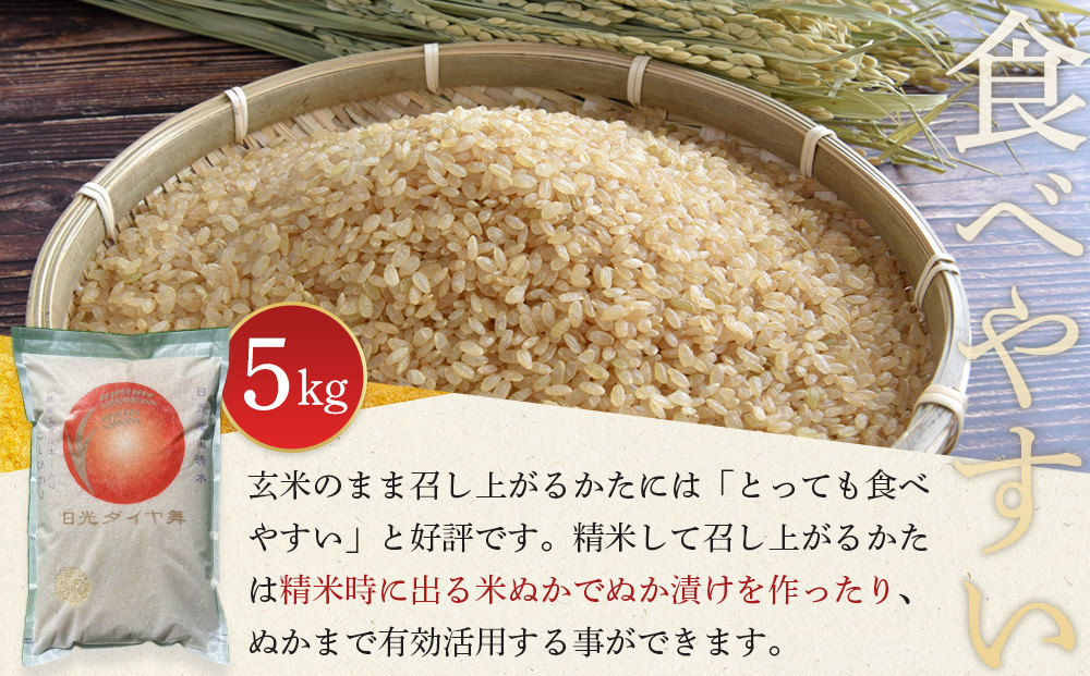 日光ダイヤ舞 1年目 玄米5キロ 有機栽培 農薬不使用 こしひかり 令和7年度米  ｜ お米 有機栽培 無農薬 コシヒカリ 栃木県 日光市