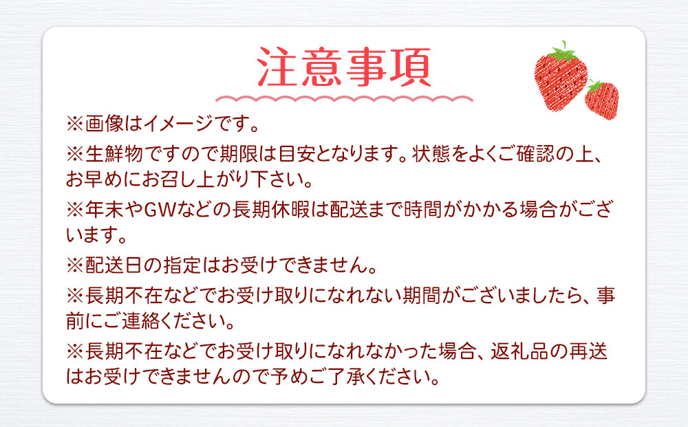 【先行予約】大粒とちおとめ4パック入り【2026年1月上旬より順次発送】 | 生産量 日本一 果物 フルーツ 苺 イチゴ 農家直送 栃木県 日光市