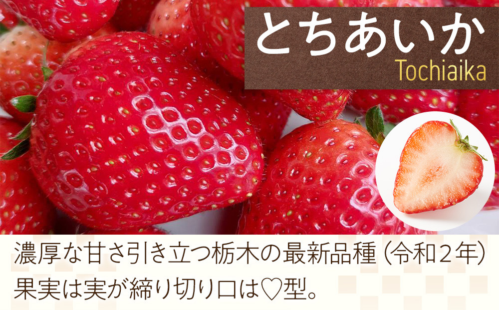 （4か月連続定期便/計4回）だいもん苺園の人気のいちご4種定期便 【2026年1月初旬より順次発送】 ｜フルーツ いちご 苺 期間限定 定期便 とちおとめ スカイベリー とちあいか ミルキーベリー 栃木 産地直送 産直