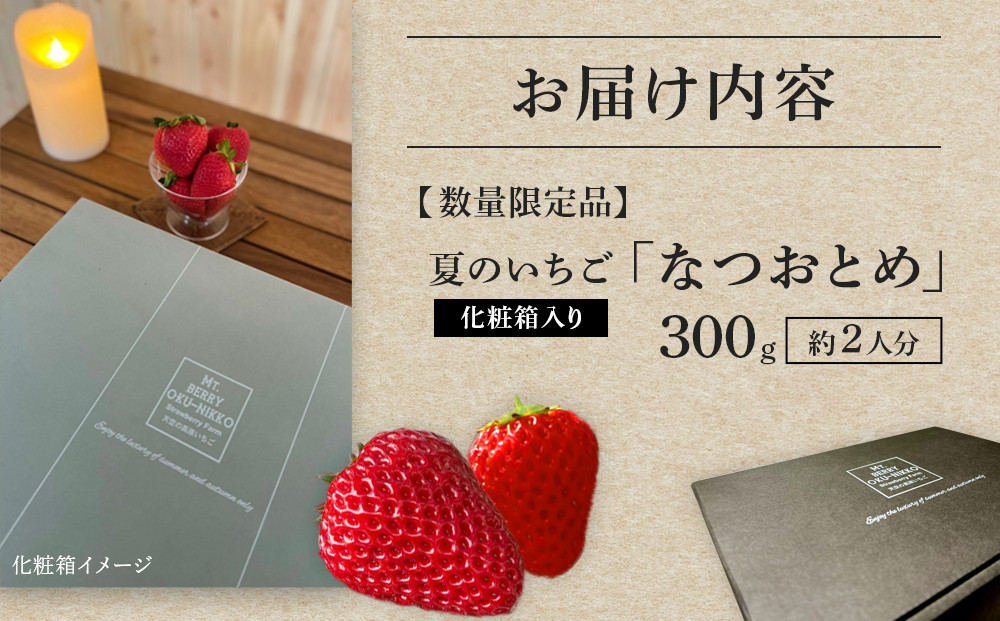 【限定販売】夏のいちご「なつおとめ」天空の高原 いちご プレミアムギフト 計300ｇ 贈答用 化粧箱入り 約2人分　期間限定 数量限定 いちご イチゴ 苺 フルーツ 果物 スイーツ 産地直送  日光市 栃木県