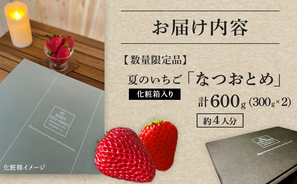 【限定販売】夏のいちご「なつおとめ」天空の高原 いちごプレミアムギフト 計600ｇ 贈答用 化粧箱入り 約4人分 ｜ 期間限定 数量限定 いちご イチゴ 苺 フルーツ 果物 スイーツ 産地直送  日光市 栃木県