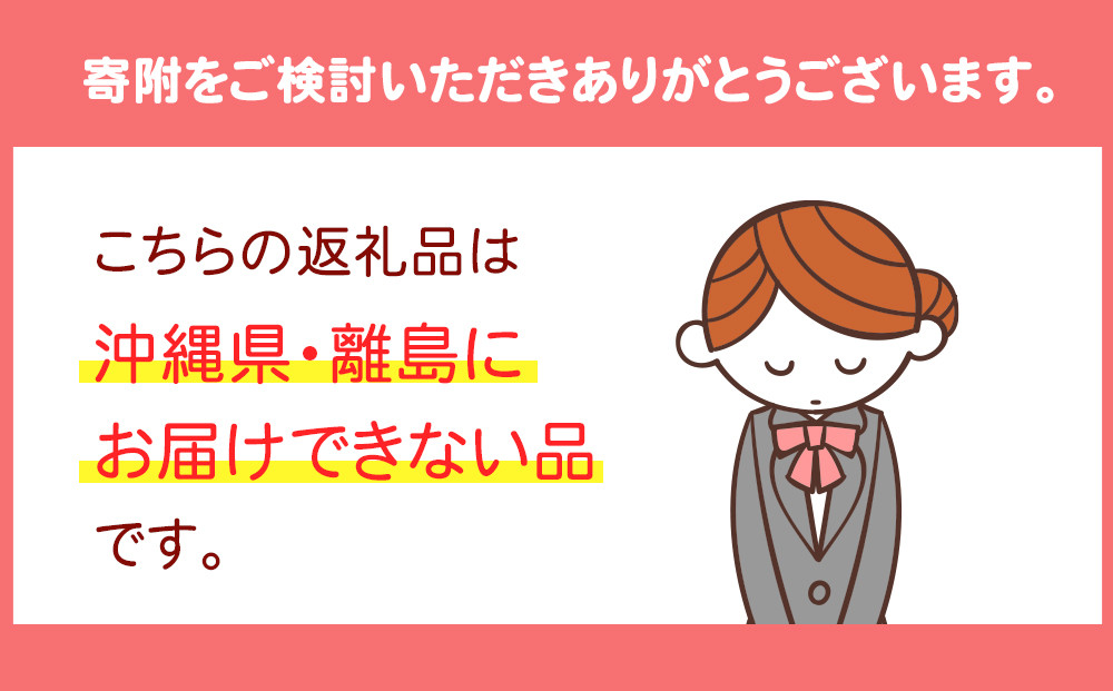 【先行予約】大粒とちおとめ2パック入り【2026年1月上旬より順次発送】 | 生産量 日本一 果物 フルーツ 苺 イチゴ 農家直送 栃木県 日光市