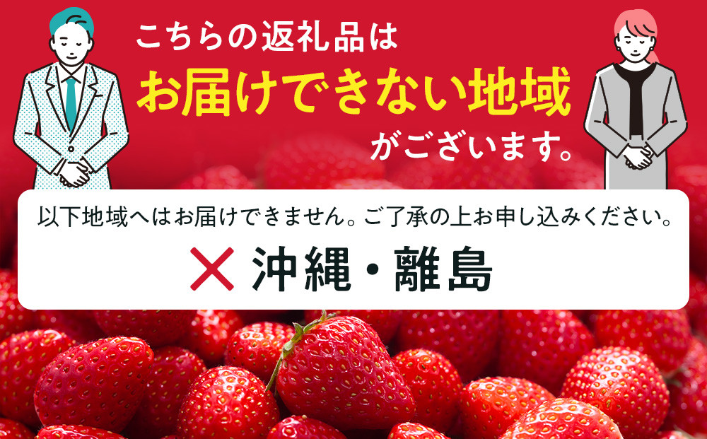 いちご 2種お楽しみ 食べ比べ セット（とちあいか&スカイベリー）【2026年1月初旬より順次発送】 ｜フルーツ いちご 苺 期間限定 とちあいか スカイベリー 栃木 産地直送 産直