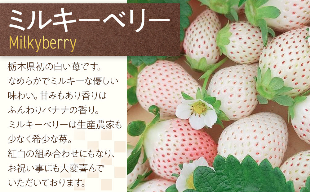 ひみつ（日光）の宝石箱 4種類の苺の食べ比べ セット 【2026年1月初旬より順次発送】 ｜フルーツ いちご 苺 期間限定 とちおとめ スカイベリー とちあいか ミルキーベリー 栃木 産地直送 産直