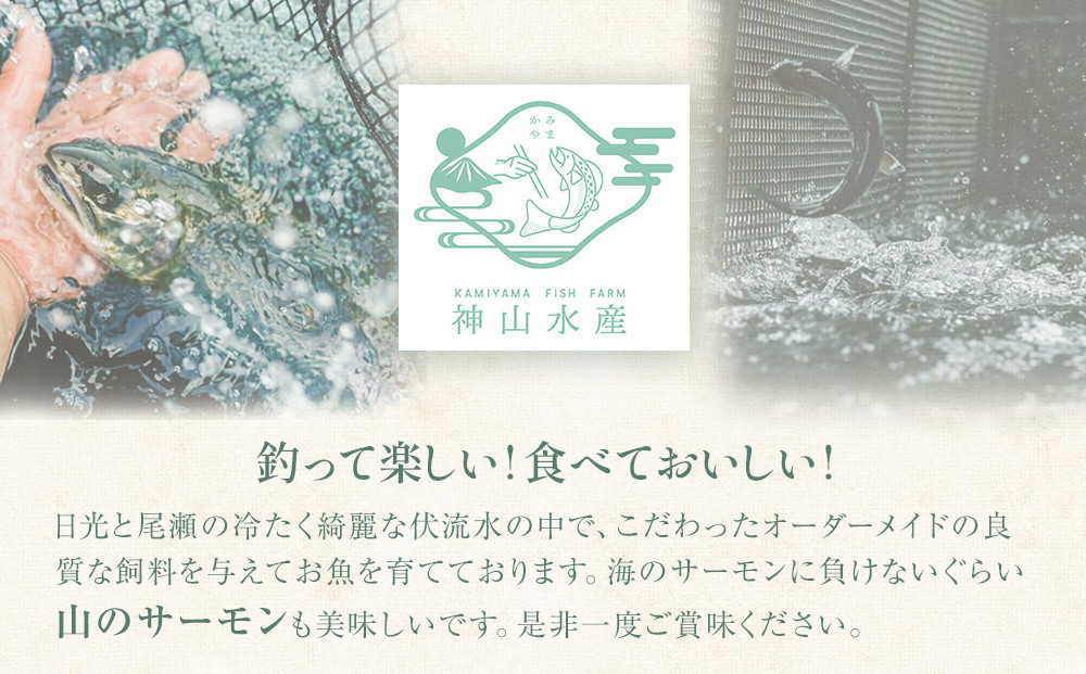 鱒界の頂点を目指しマス！頂鱒（イタダキマス）柵どり （生食用）約1,200g | 鱒 マス ニジマス 刺身 鮮魚  国産 日光市産 