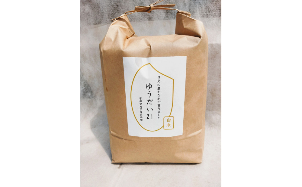 令和7年産 ゆうだい21 白米 10kg（5kg×2袋） ｜米 お米 数量限定