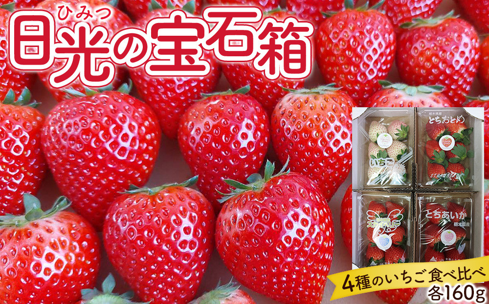 ひみつ（日光）の宝石箱 4種類の苺の食べ比べ セット 【2026年1月初旬より順次発送】 ｜フルーツ いちご 苺 期間限定 とちおとめ スカイベリー とちあいか ミルキーベリー 栃木 産地直送 産直
