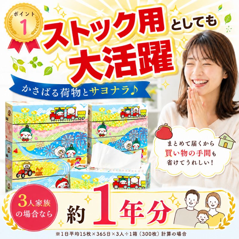 【定期便6回】ティッシュ 10箱 オリジナルデザイン BOXティッシュ ティッシュペーパー | 5箱 × 2パック 人気急上昇 高評価 |  限定 最大 真岡市 オリジナル 300枚 150組  日用品  紙  なめらか 蒸気機関車 SL 栃木県 真岡市 PR 災害 備蓄 大容量 【定期便6回】5箱×2パック(翌月より１回目発送)