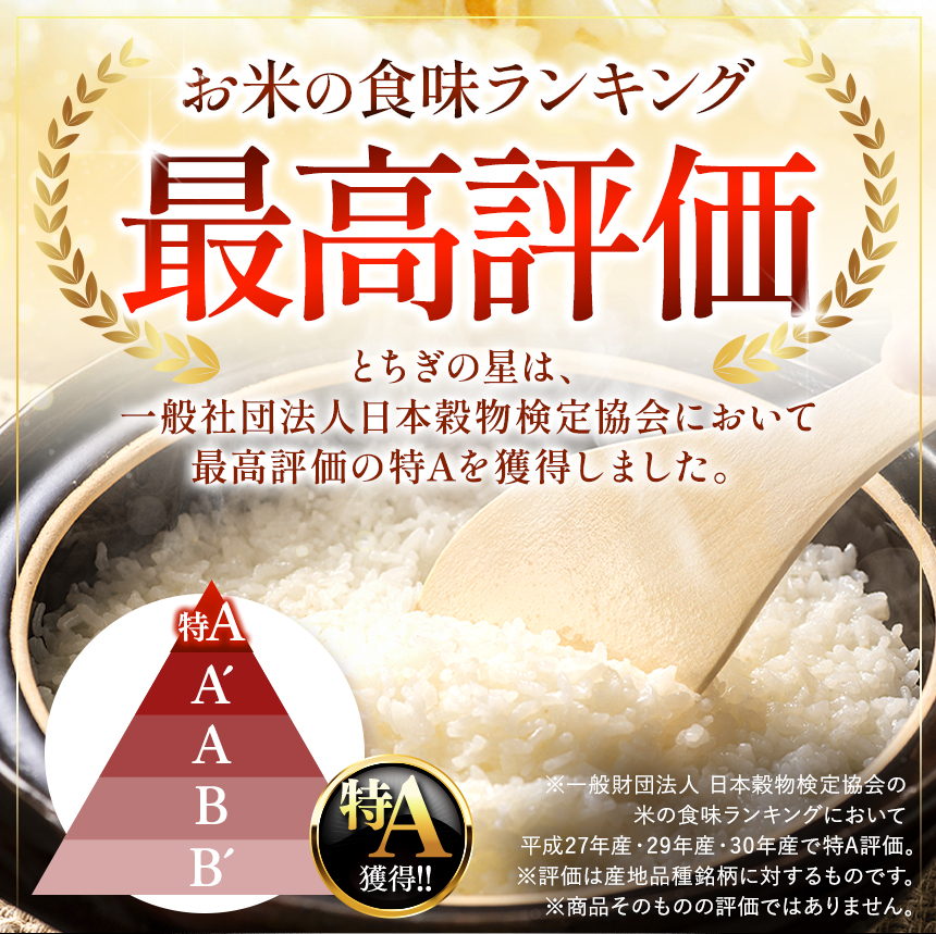 【先行予約】【定期便12回】 ＼無洗米／ 栃木県産コシヒカリ 10kg | 真岡市産 コシヒカリ 銘柄 お米 米 おにぎり おむすび ふるさと納税 栃木県 真岡市 送料無料 【定期便12回】【無洗米】コシヒカリ　10kg