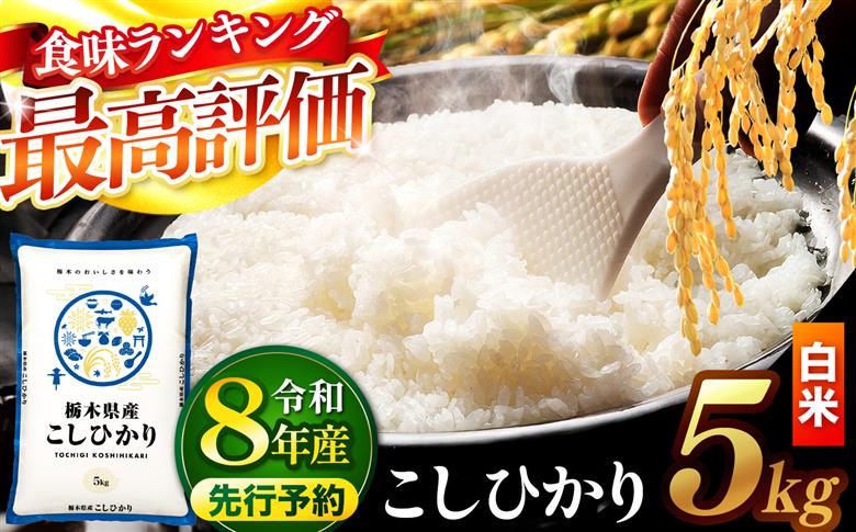 【先行予約】 ＼白米／ 栃木県産コシヒカリ 5kg | 真岡市産 コシヒカリ 銘柄 お米 米 おにぎり おむすび ふるさと納税 栃木県 真岡市 送料無料 【白米】コシヒカリ 5kg