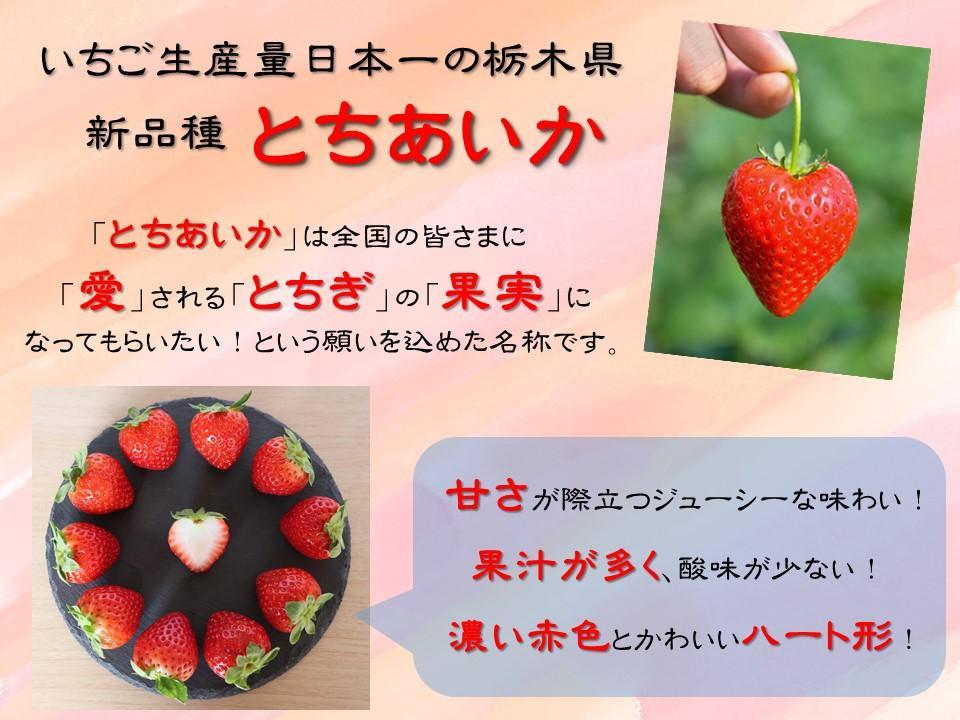 【数量限定】ＪＡなすの産地直送 ５４年連続収穫量全国１位　いちご王国とちぎ　大田原市産とちあいか　1箱（270ｇ×4パック） 【Ｌサイズ以上厳選出荷】
