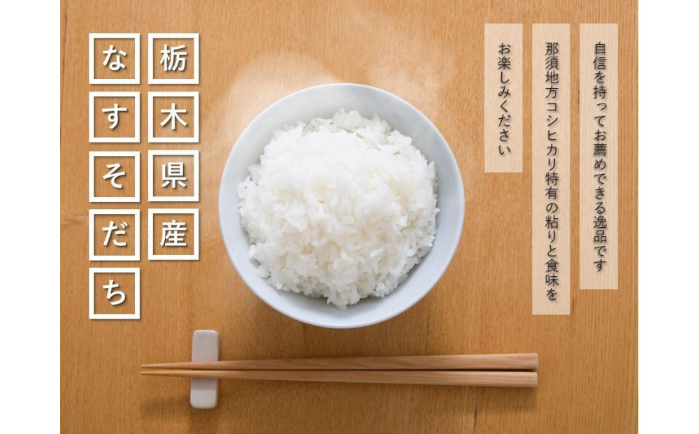 令和7年産 栃木県産コシヒカリ なすそだち 10kg JAなすの産地直送【大田原市・那須塩原市・那須町共通返礼品】