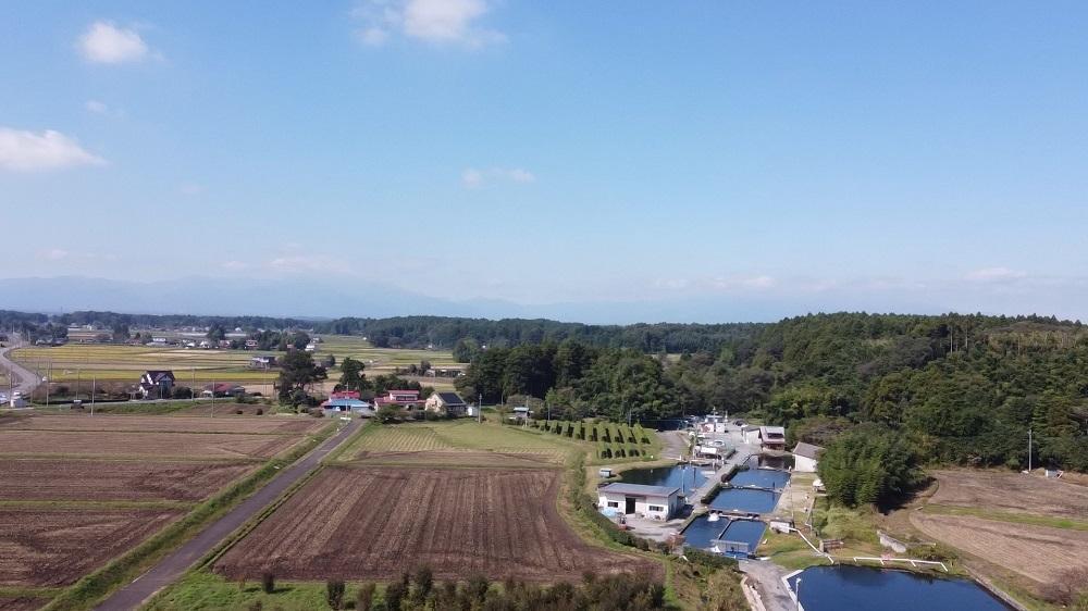 キングフィッシャー1日入場券2枚セット【男性】／ルアー・フライフィッシング専用管理釣り場