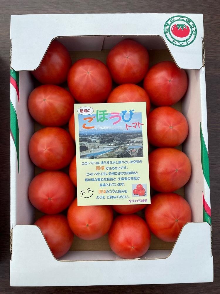 【数量・季節限定2026年2月から5月収穫・発送】那須の五峰美トマト（糖度8度以上、約2kg）