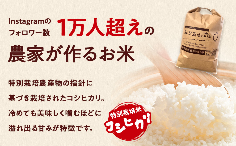 令和7年産 精米 特別栽培米 コシヒカリ「五月女農場のお米」(5kg)  ｜ 農家直送 産地直送 産直 栃木県 大田原市 こしひかり
