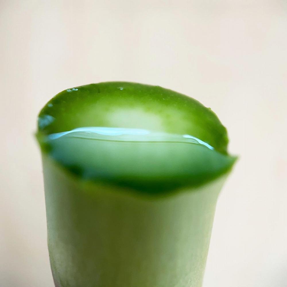 【2025年4月発送】那須の麓の朝採りアスパラガス　並サイズ　1kg