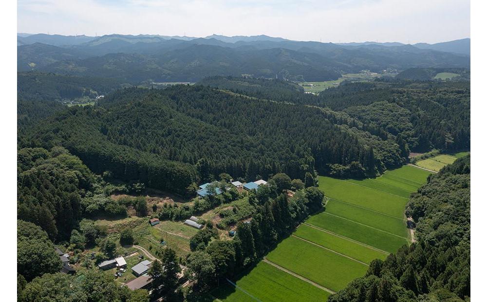 厳選 希少ブランド卵  頂＜itadaki＞ 10個入り | 高級卵 こわだり 限定 玉子 卵 生卵 たまご 卵かけご飯