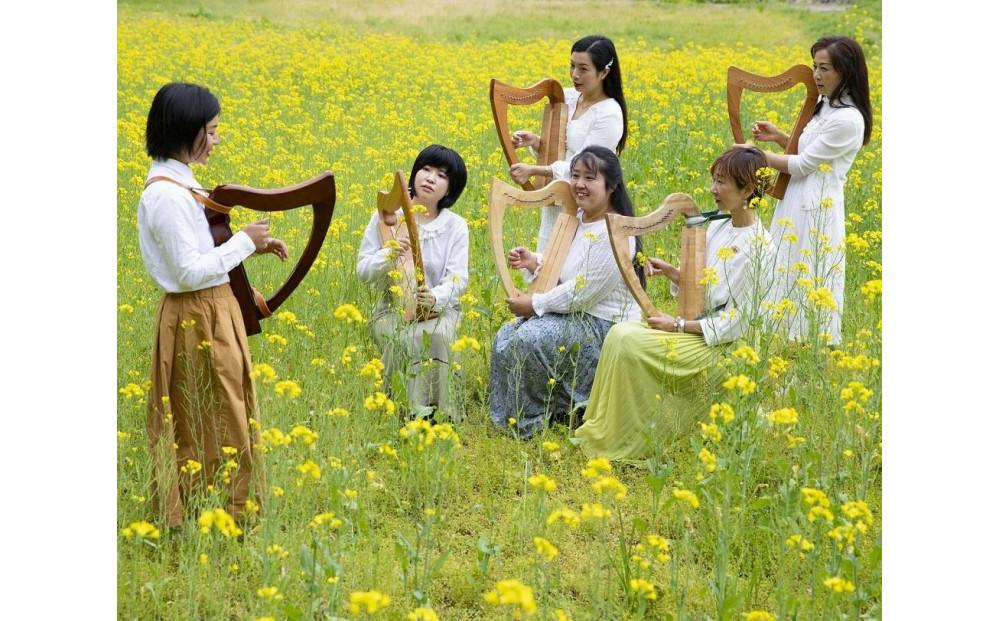 竪琴教室林音　国産材 ハープ 「森の竪琴」　1時間体験レッスンチケット（5名様まで） ｜ 音楽 利用券 体験 教室 
