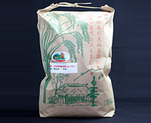 古谷農産有機ギフトセット　大