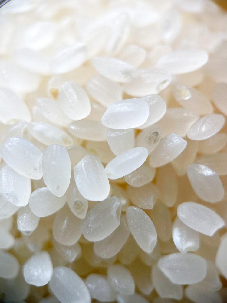 栃木県大田原市YOZE FARMさんのコシヒカリ令和7年度産　白米10kg