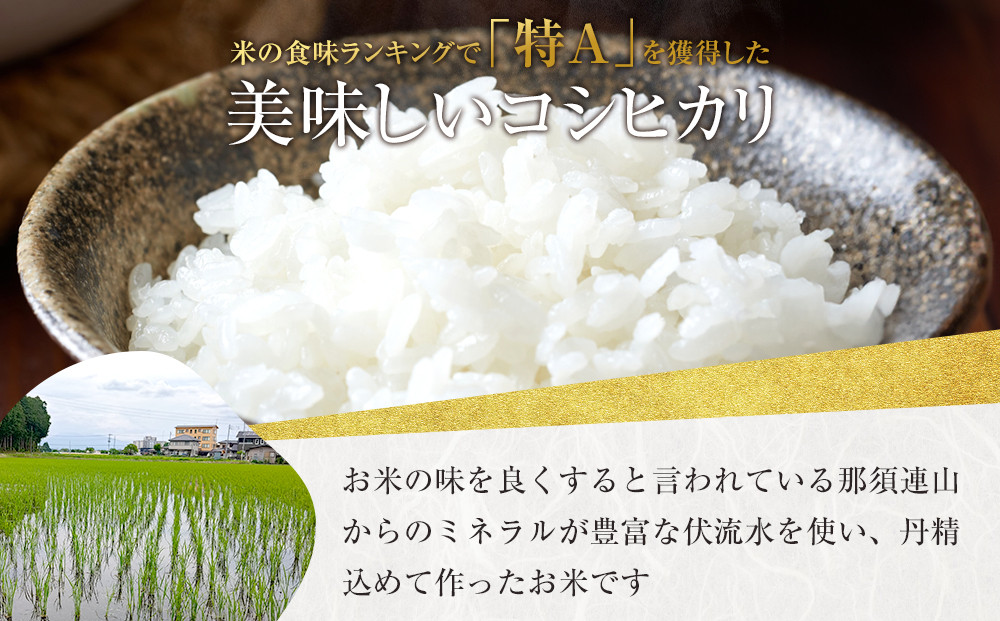 【令和7年産 】阿久津吉弘さんのコシヒカリ 白米 5キロ ｜ お米  5Kg 米 産地直送 産直 栃木県 大田原市
