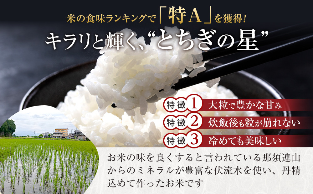 【令和7年産】 阿久津吉弘さんのとちぎの星白米10キロ｜ 栃木県 大田原市 お米 こめ 白米 食品