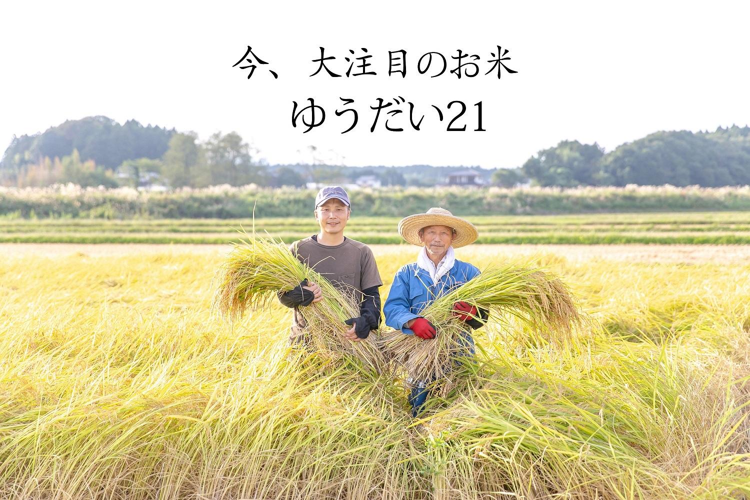 ゆうだい21（減農薬米） 精米 2kg ｜お米 減農薬 栃木県 大田原市