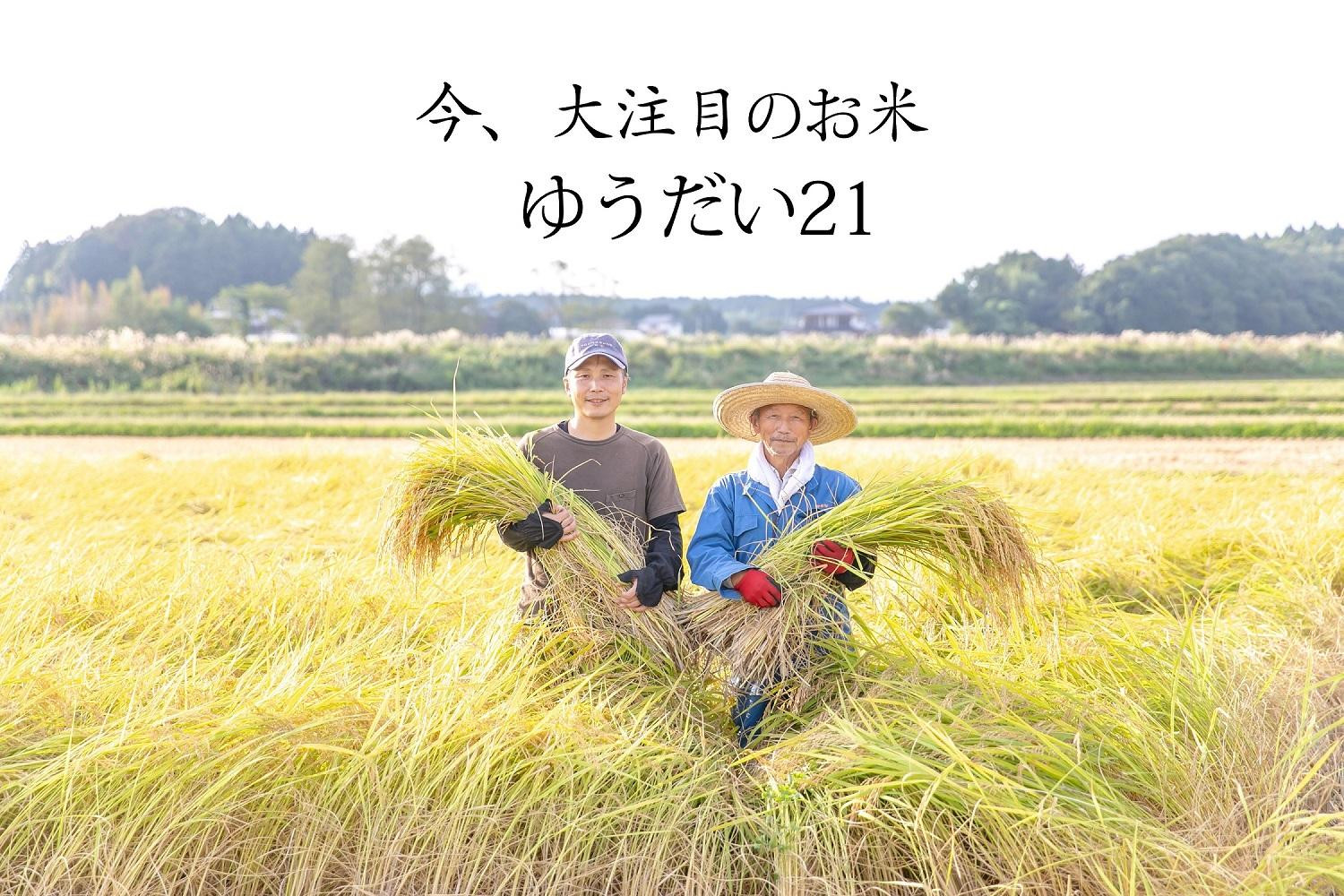 ゆうだい21（農薬不使用） 精米 5kg｜お米 農薬不使用 栃木県 大田原市