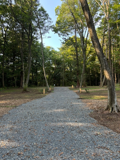 NASU SATOYAMA FIELD キャンプサイト 中 1泊 利用券(オフシーズン10月~3月) | チケット 旅行 キャンプ 自然 体験 BBQ アクティビティ 那須 栃木