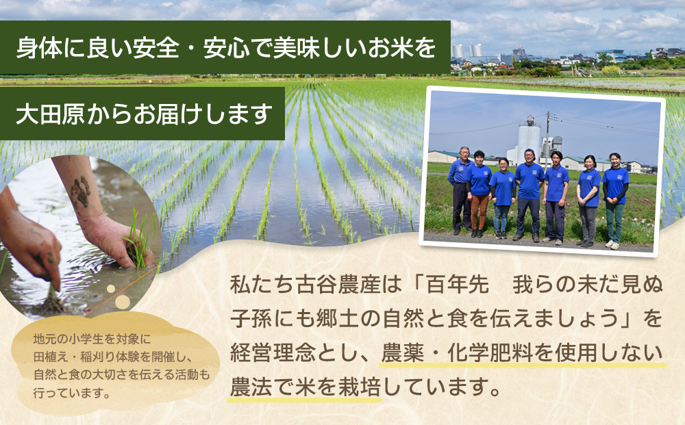 【令和7年産米 数量限定】古谷農産の無農薬・無化学肥料で栽培したコシヒカリ（精米2キロ） ｜米 コメ  白米 2kgコシヒカリ こしひかり 農家直送 産地直送 産直