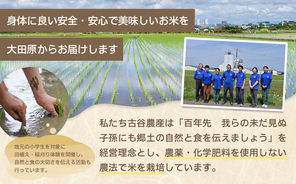 【令和7年産米 数量限定】古谷農産の無農薬・無化学肥料で栽培したコシヒカリ（玄米5キロ） ｜米 コメ  5kgコシヒカリ こしひかり 農家直送 産地直送 産直