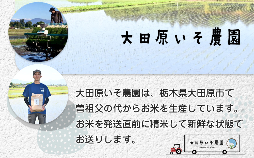 ≪2025年10月中旬以降発送≫ 令和7年産 栃木県大田原市産コシヒカリ「富米」 白米 5キロ ｜米 お米  コメ こしひかり 5kg