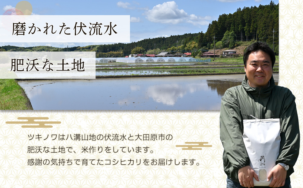 【令和7年産  】ツキノワのコシヒカリ 精米 5kg ｜お米 白米 ご飯 コメ 栃木県 大田原市