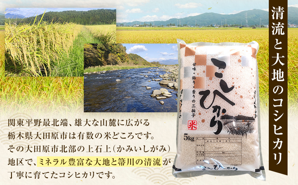 令和7年産 大田原市 藤田farmのコシヒカリ 10kg ｜栃木県産 米 お米  コメ こしひかり コシヒカリ 栃木県 【選べる容量】5kg 10kg  数量限定