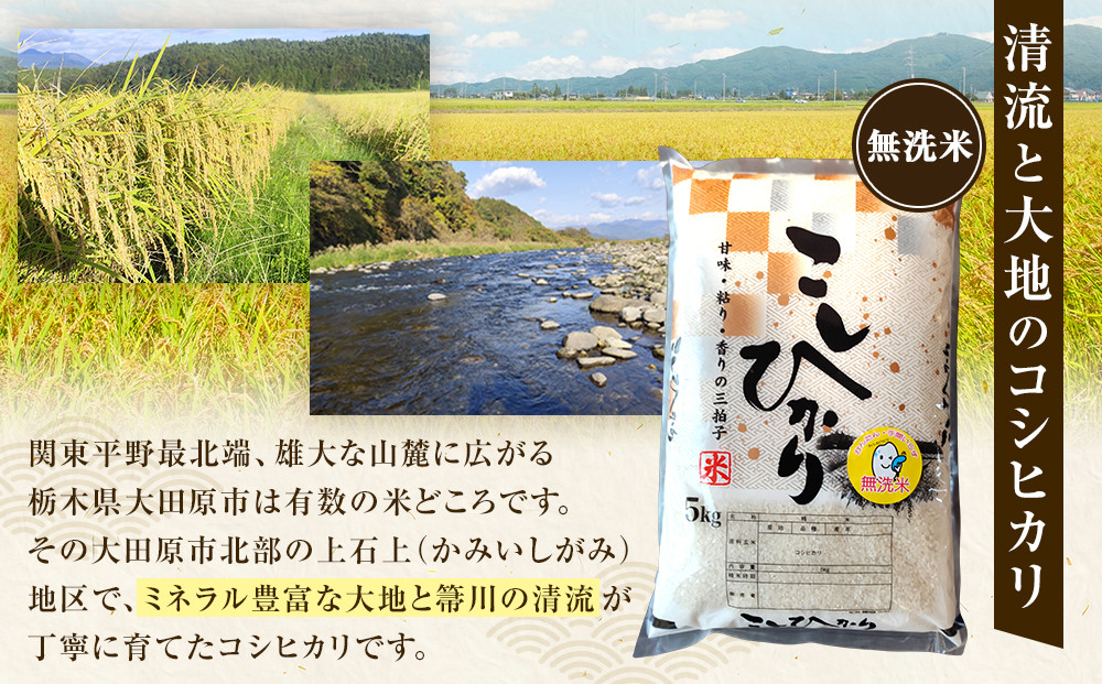 令和7年産 大田原市 藤田farmのコシヒカリ 【無洗米】 10kg ｜栃木県産 米 お米  コメ こしひかり コシヒカリ 栃木県 【選べる容量】5kg 10kg  数量限定