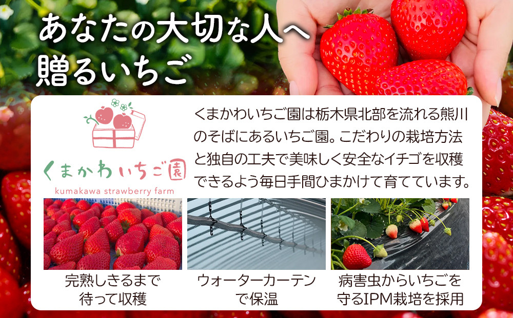 【先行予約受付】≪2027年1月発送≫【数量限定】黒箱 厳選4種の完熟いちご1箱セット ｜果物 いちご 朝取り 新鮮 ハート フルーツ デザート ストロベリー デザート スイーツ 苺 イチゴ 大田原市 栃木県