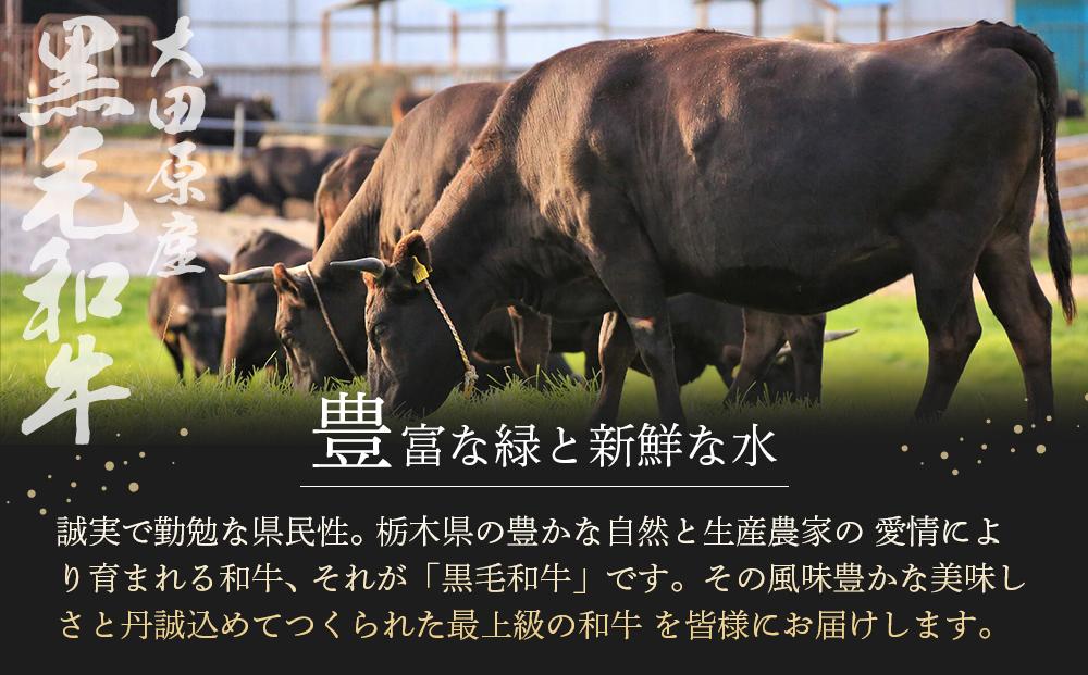 大田原産 黒毛和牛 サーロイン ステーキ　約300g×3枚