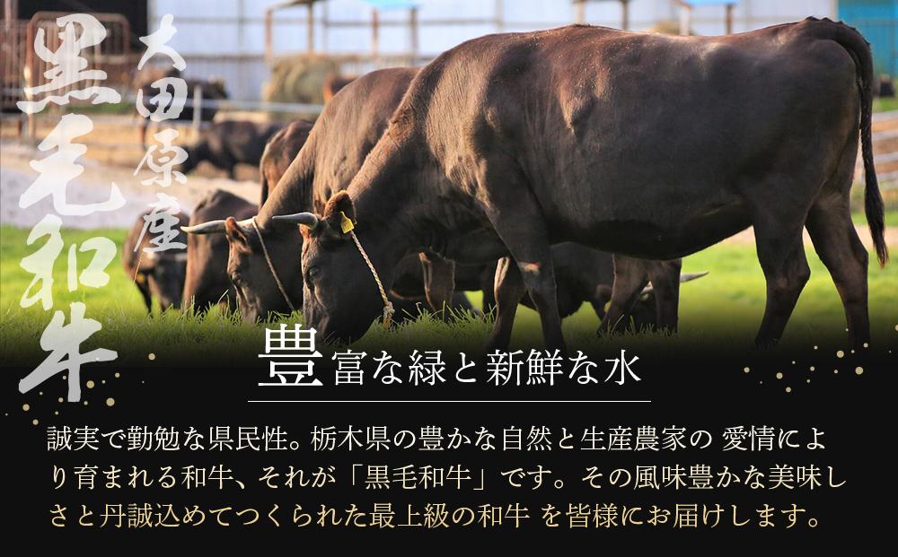 大田原産 黒毛和牛 リブロース すき焼き・しゃぶしゃぶ用　300g×2
