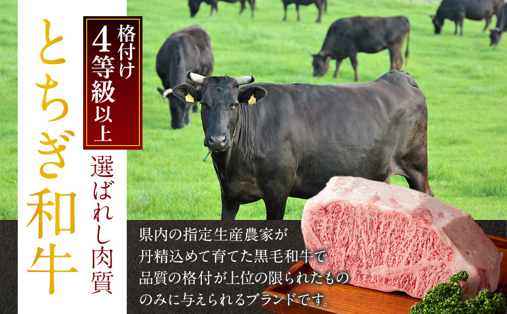 とちぎ和牛100% ハンバーグ 150g×3個セット ｜ 牛肉 和牛 100% 肉 ブランド牛 高級 ハンバーグ 栃木県共通返礼品