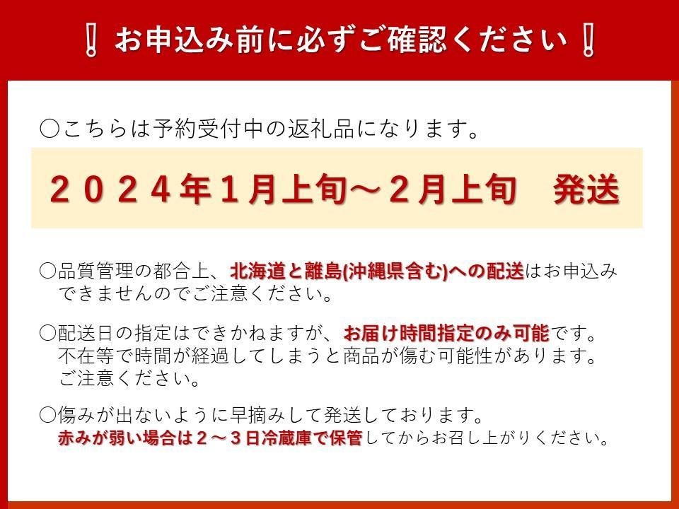 【数量限定】ＪＡなすの産地直送 ５４年連続収穫量全国１位　いちご王国とちぎ　大田原市産とちあいか　1箱（270ｇ×4パック） 【Ｌサイズ以上厳選出荷】