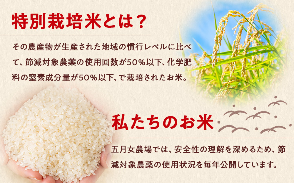 【12か月定期便】農家直送のパックごはん☆五月女農場のごはん（150ｇ×20個）